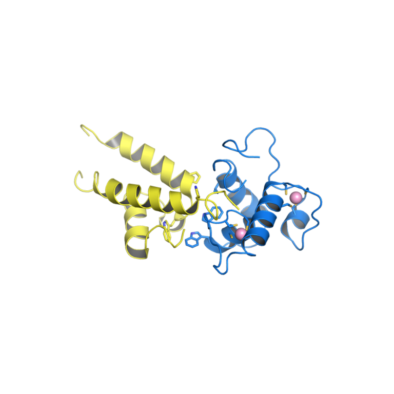 tumor antigen